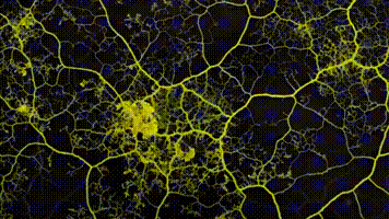 A moving image of a network of bright yellow substance spreading from different nodes 