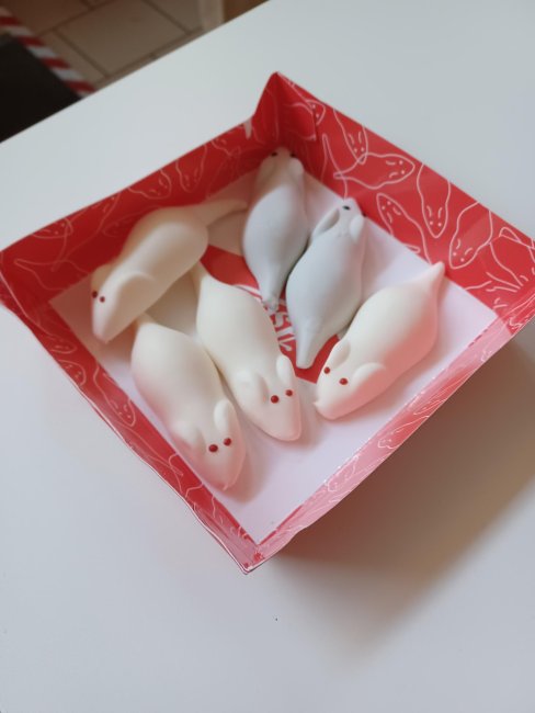 box with candied white mice, they have red eyes