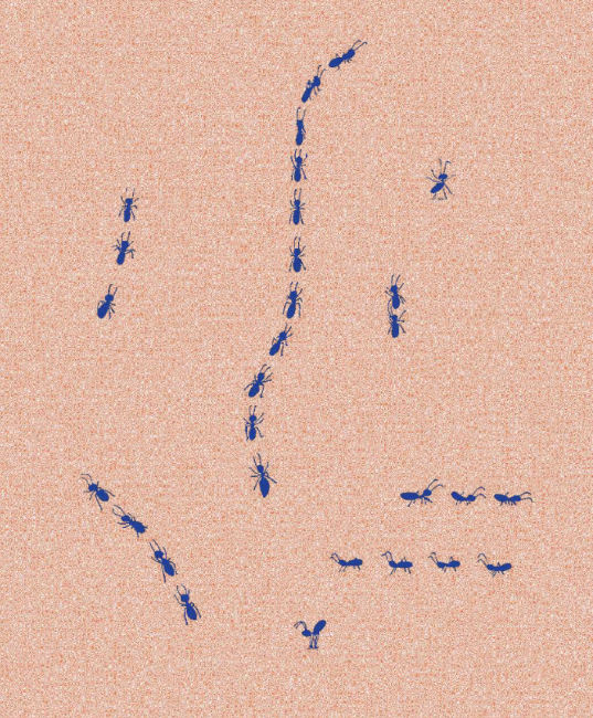Ants drawn in blue ink crawl on a sheet of pink grainy paper