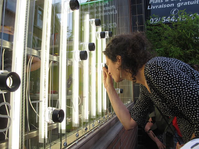 A picture of the vitrine of Constant's office hosting an installation on the road side of the vitrine. A visitor is looking through a tiny magnifying glass that is running over a series of microfilms hanging from the top of the vitrine. 
