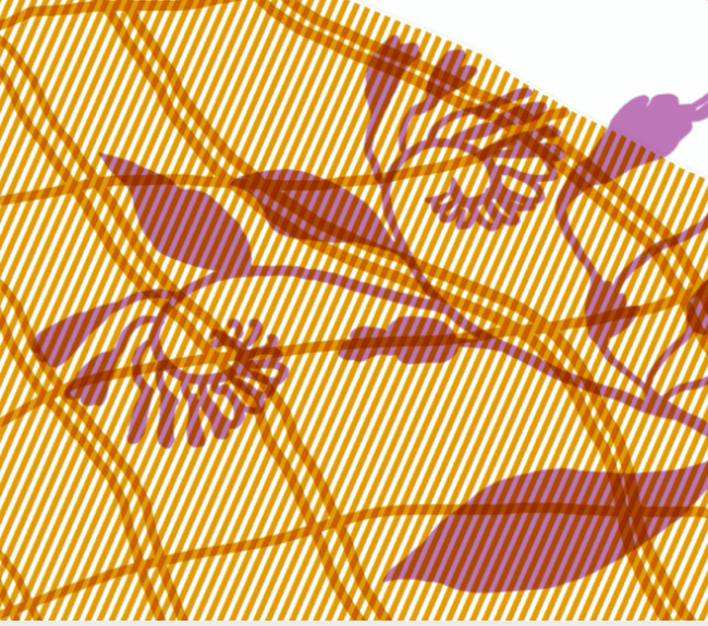 A zoom on the front image of the flyer for the event showing an orange plaid on which a purple flower is drawn.