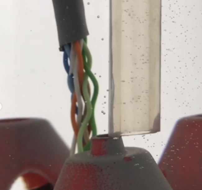 A bunch of wires next to a transparent plastic hose. They float into water or another viscous medium, soon to be connected to some strange plugs.